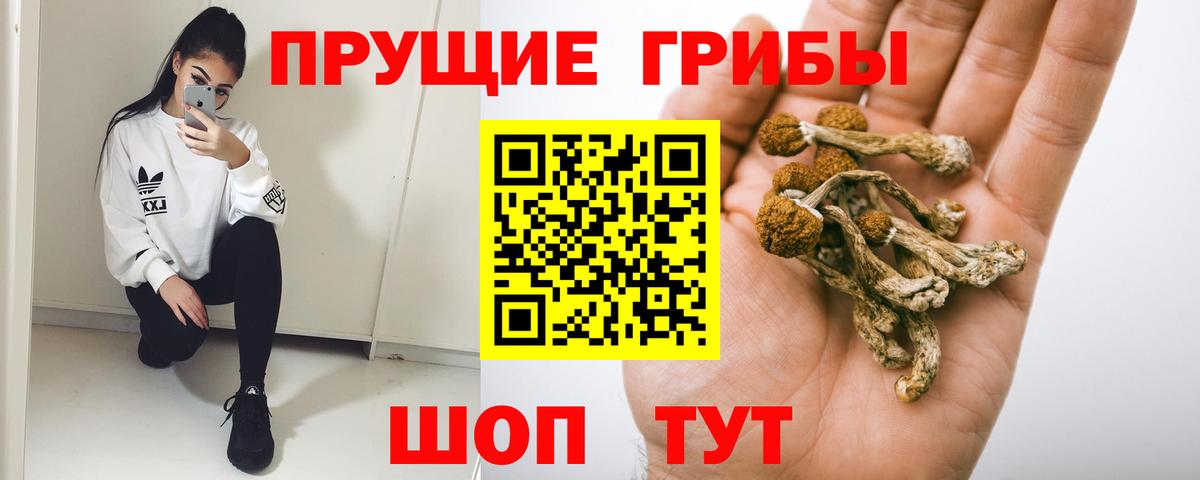 Волгоград  Галлюциногенные грибы Cubensis  Вход с VPN 